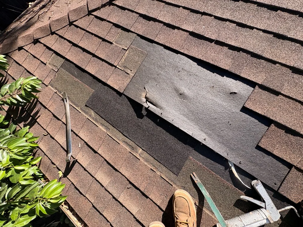 Close view of lifted asphalt shingles and exposed roofing underlayment beside repair tools